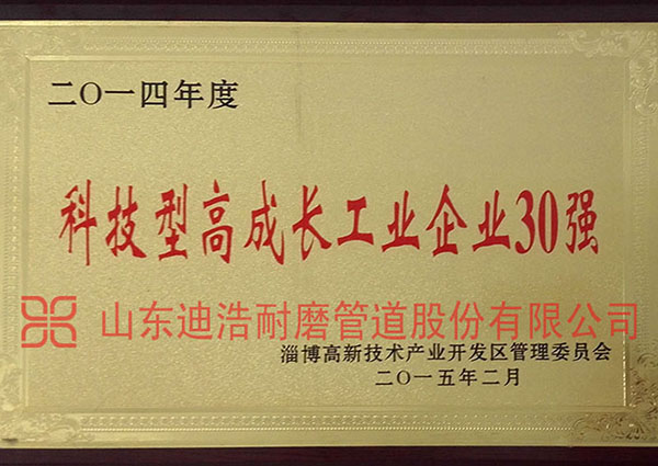 科技型高成長工業企業30強
